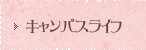 LpXCt